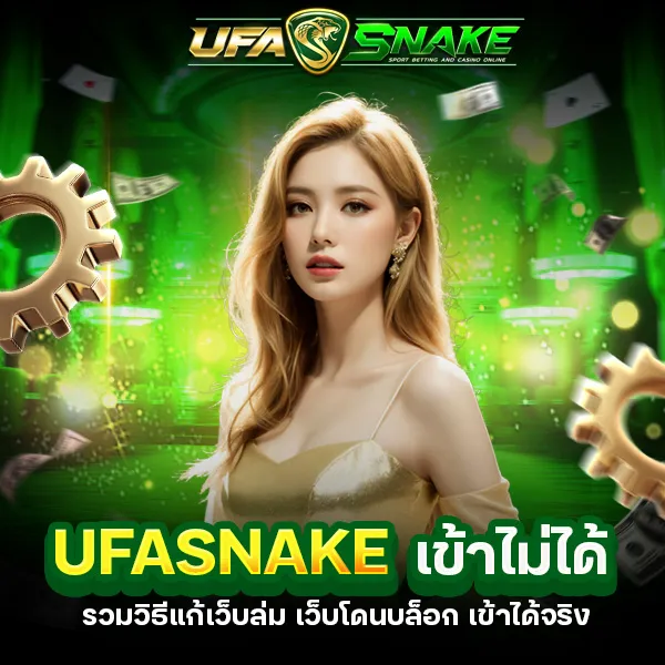 UFASNAKE เข้าเว็บไม่ได้ รวมวิธีแก้เว็บล่ม เว็บโดนบล็อก เข้าได้จริง